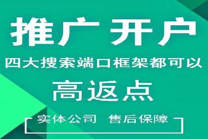 百度推广效果案例解析